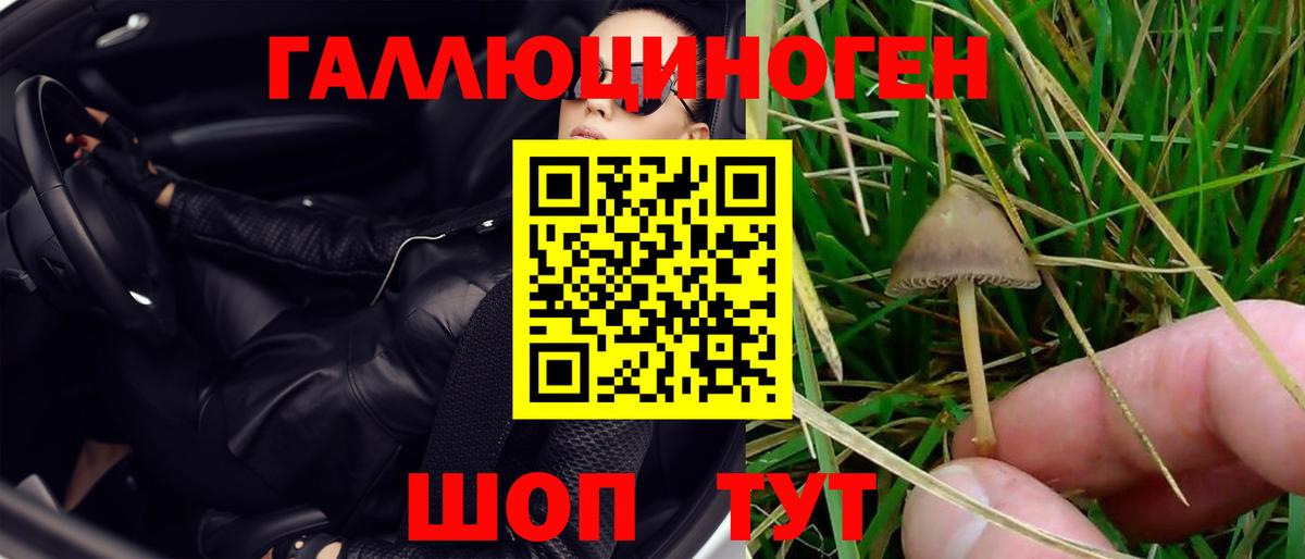 Псилоцибиновые грибы GOLDEN TEACHER Майский